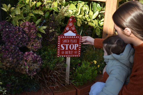 SCNI Christmas Appeal 3